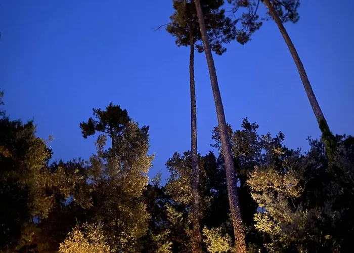 Villa D'exception Avec Piscine Chauffee, Proche Plages Et Commodites - Fr-1-791-22