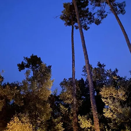 Willa D'exception Avec Piscine Chauffee, Proche Plages Et Commodites - Fr-1-791-22